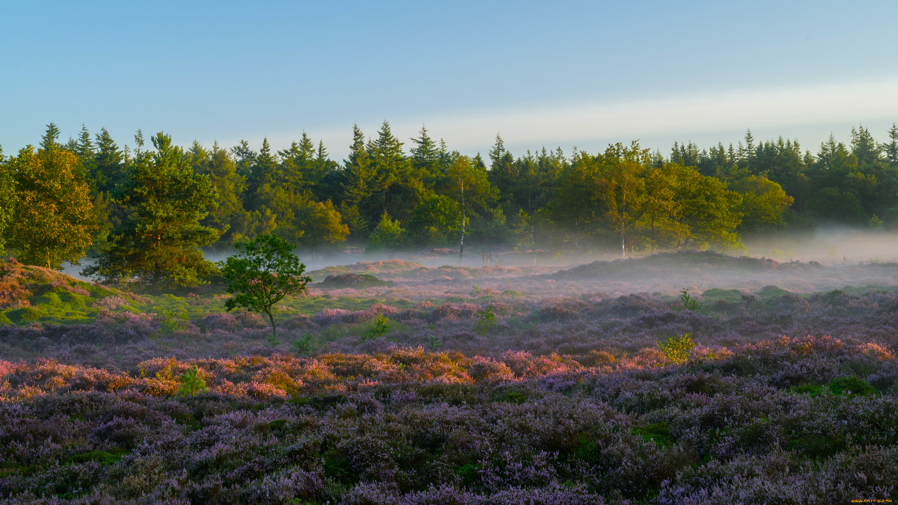   the hoge veluwe, , , , , , , , , , , , , the, hoge, veluwe, 